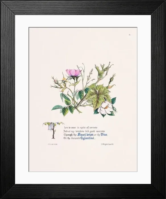 Framed Print : Floral bouquet illustration Framed Print : Floral bouquet illustration