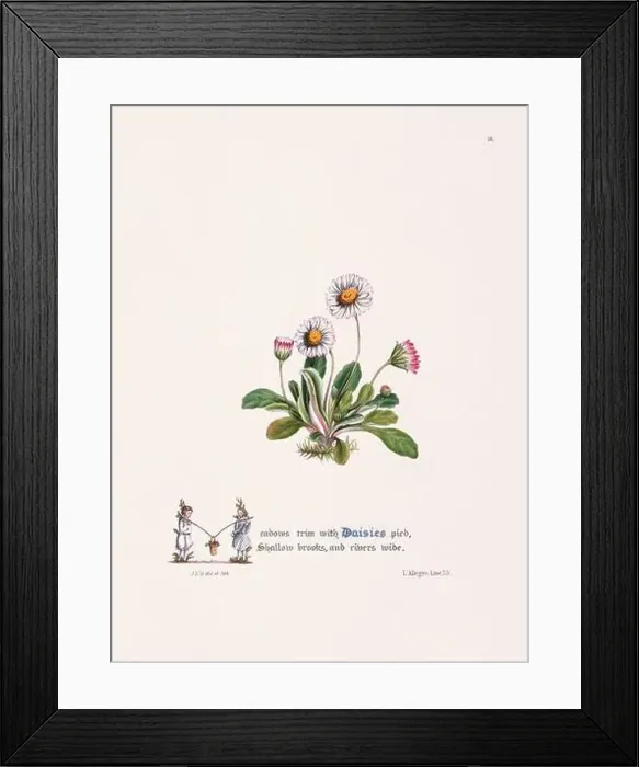 Framed Print : Floral bouquet illustration Framed Print : Floral bouquet illustration
