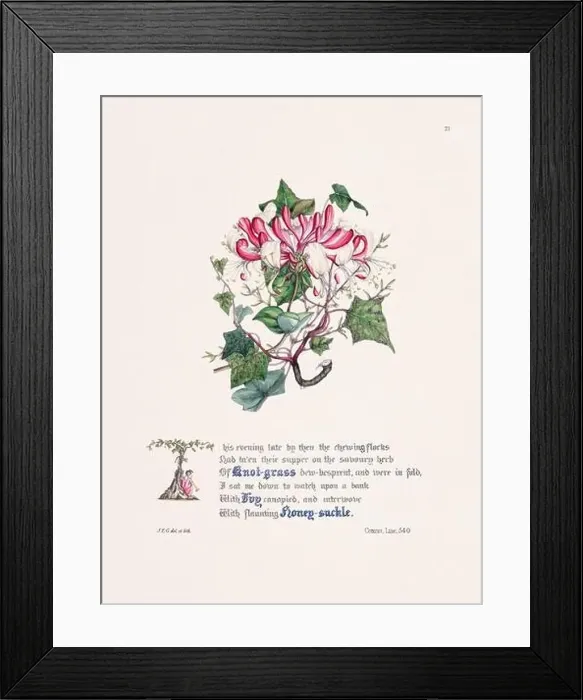 Framed Print : Floral bouquet illustration Framed Print : Floral bouquet illustration