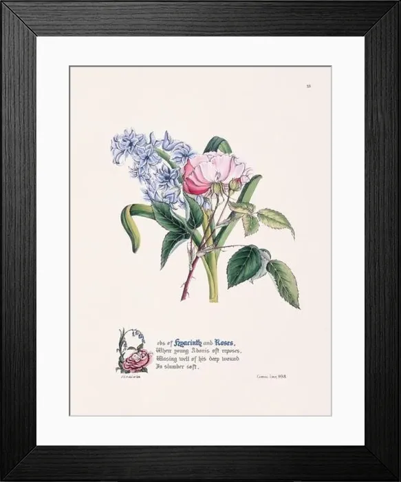 Framed Print : Floral bouquet illustration Framed Print : Floral bouquet illustration