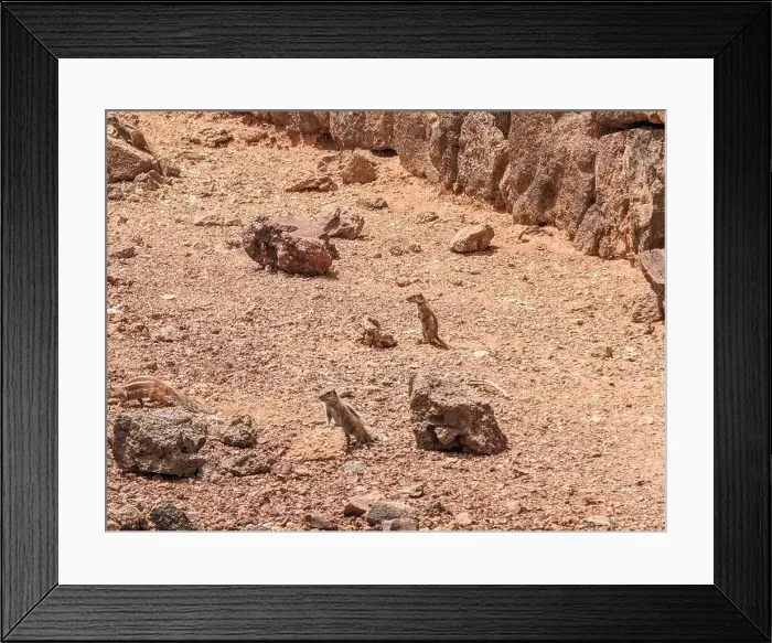 Framed Print : The Calderon Hondo volcano walk, Fuerteventura, Canary Islands Framed Print : The Calderon Hondo volcano walk, Fuerteventura, Canary Islands