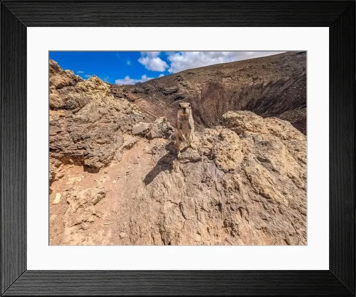 Framed Print : The Calderon Hondo volcano walk, Fuerteventura, Canary Islands Framed Print : The Calderon Hondo volcano walk, Fuerteventura, Canary Islands