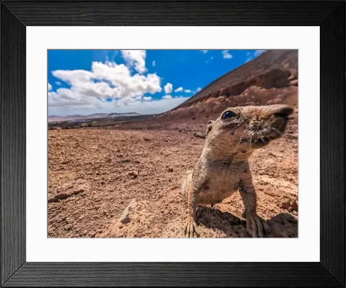 Framed Print : The Calderon Hondo volcano walk, Fuerteventura, Canary Islands Framed Print : The Calderon Hondo volcano walk, Fuerteventura, Canary Islands