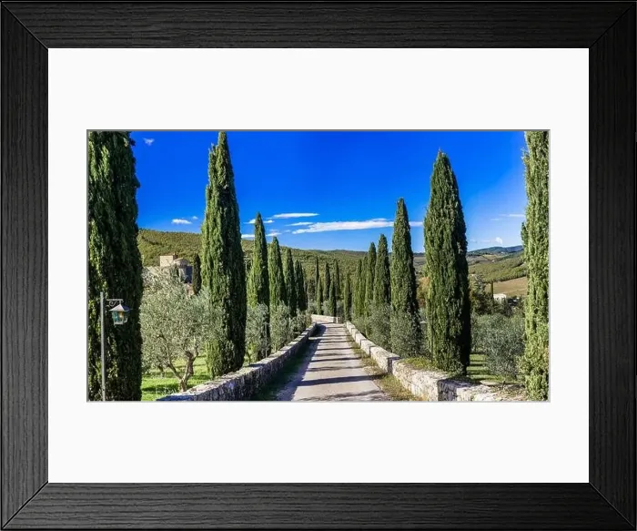 Framed Print : Italy, Tuscany landscape. alley with cypresses. typical tuscan scenery and road decoration Framed Print : Italy, Tuscany landscape. alley with cypresses. typical tuscan scenery and road decoration