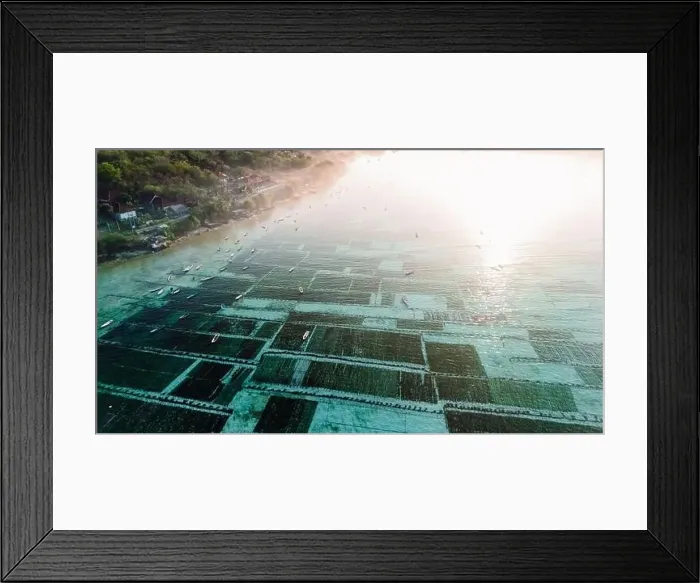 Framed Print : Seaweed farm at Lembongan island in Indonesia with morning light and fog. Aerial view Framed Print : Seaweed farm at Lembongan island in Indonesia with morning light and fog. Aerial view