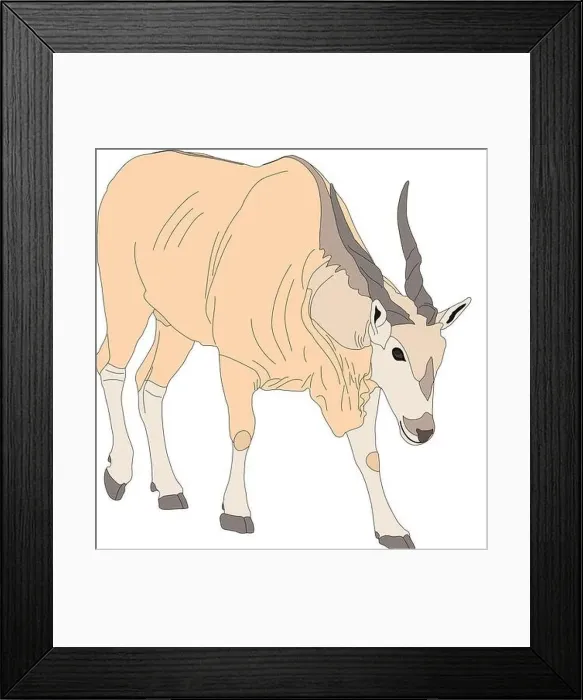 Framed Print : Portrait of a common eland antelope, standing Framed Print : Portrait of a common eland antelope, standing