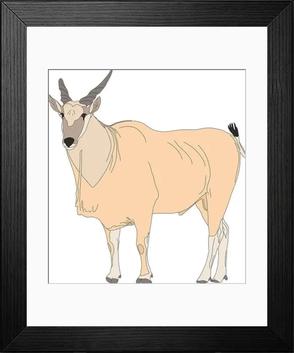 Framed Print : Portrait of a common eland antelope, standing Framed Print : Portrait of a common eland antelope, standing