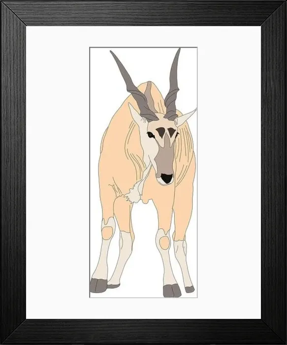 Framed Print : Portrait of a common eland antelope, standing Framed Print : Portrait of a common eland antelope, standing