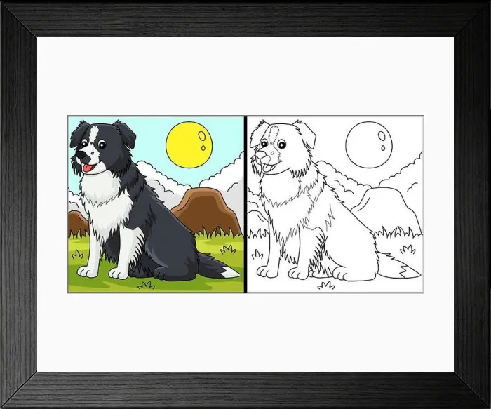 Framed Print : Border Collie Dog Coloring Page Illustration Framed Print : Border Collie Dog Coloring Page Illustration