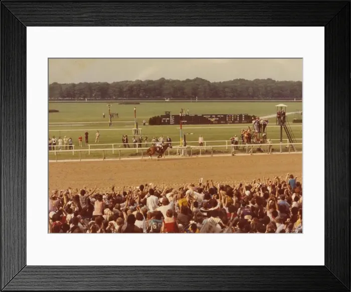 Framed Print : Secretariat, Belmont Stakes, 1973 Framed Print : Secretariat, Belmont Stakes, 1973