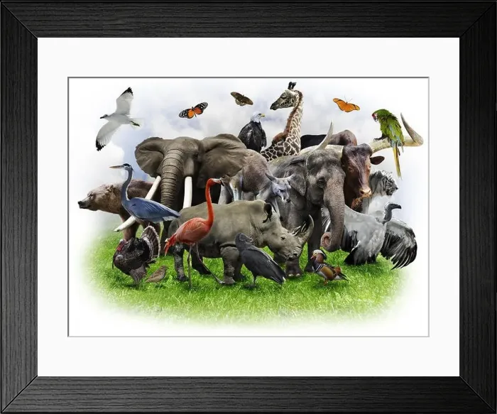 Framed Print : Animals Collage Framed Print : Animals Collage