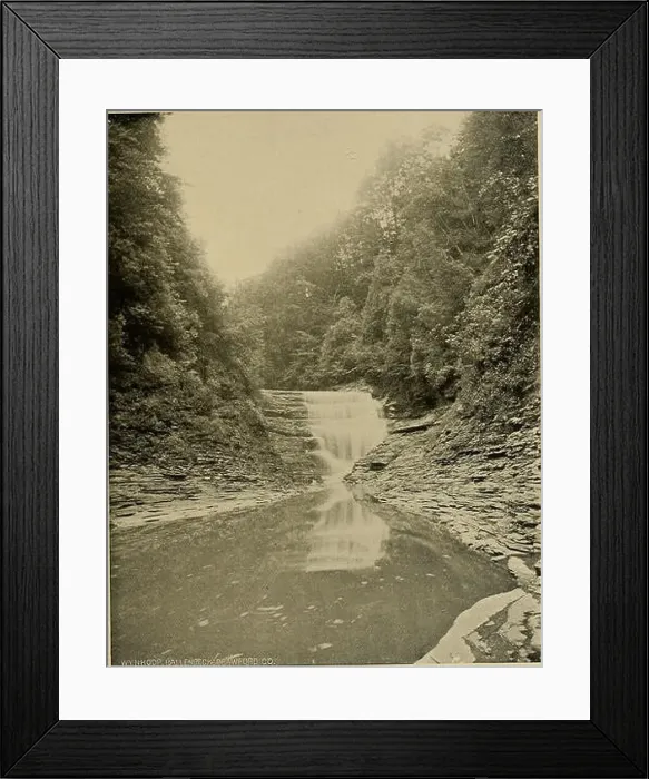Framed Print : Bulletin - New York State Museum Framed Print : Bulletin - New York State Museum