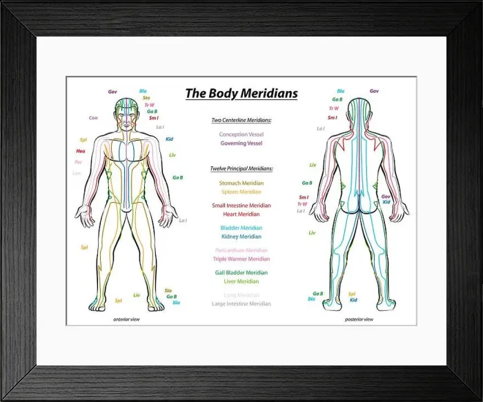 Framed Print : Meridian System Chart - Male body with principal and centerline acupuncture meridians - anterior and posterior view Framed Print : Meridian System Chart - Male body with principal and centerline acupuncture meridians - anterior and posterior view