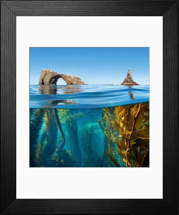 Framed Print : Half below and above photo of Anacapa Arch and kelp, Channel Islands National Park, Marine Reserve Framed Print : Half below and above photo of Anacapa Arch and kelp, Channel Islands National Park, Marine Reserve