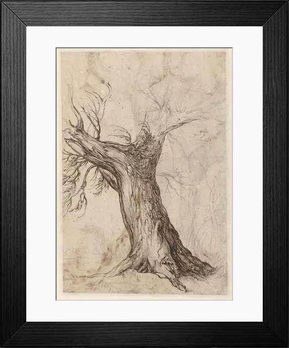 Framed Print : Study of a tree trunk. Jacques de Gheyn regularly ventured out into nature Framed Print : Study of a tree trunk. Jacques de Gheyn regularly ventured out into nature