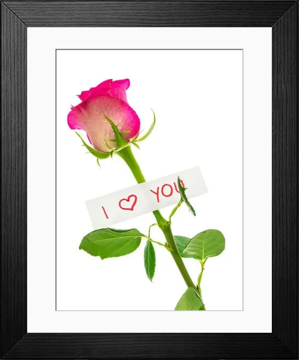 Framed Print : I love you message attached to a beautiful pink rose. Isolated over white background Framed Print : I love you message attached to a beautiful pink rose. Isolated over white background