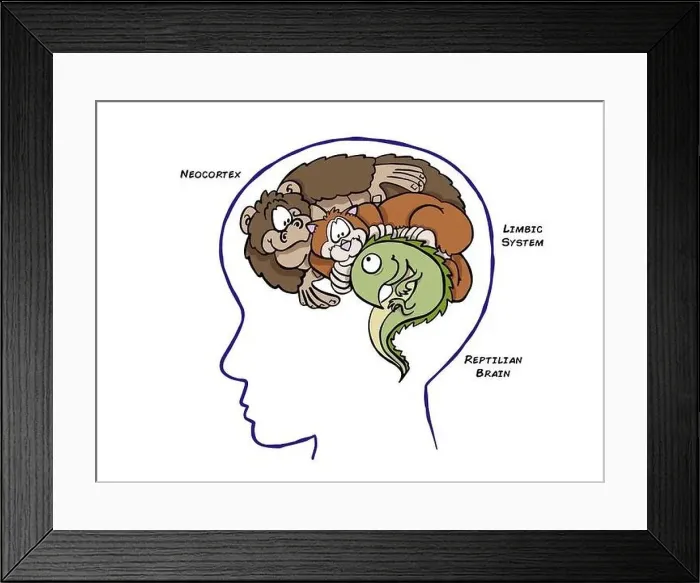 Framed Print : Triune Brain Theory Framed Print : Triune Brain Theory