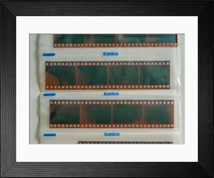 Framed Print : Strips of Konica film negatives, analogue photography Framed Print : Strips of Konica film negatives, analogue photography