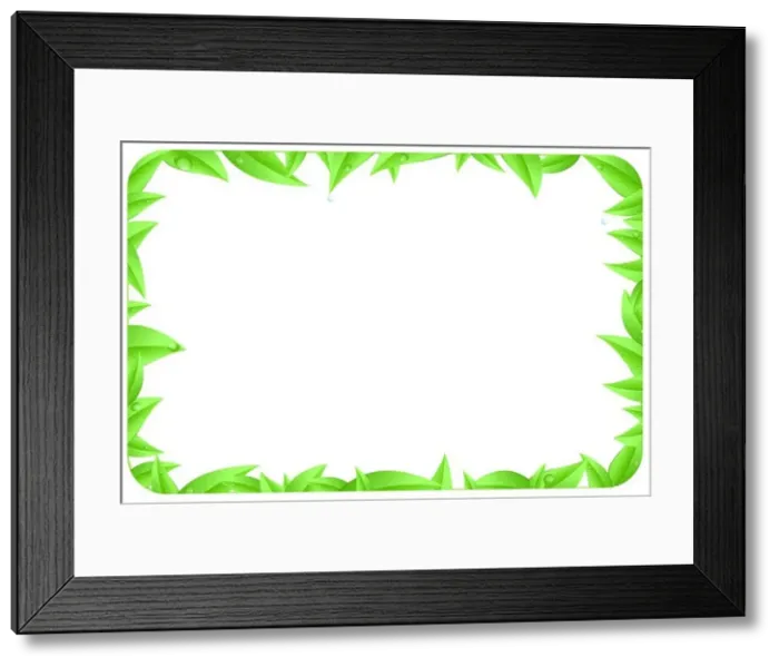 Framed Print : green border made of leaves as design element of page with space text isolated on a white background Framed Print : green border made of leaves as design element of page with space text isolated on a white background
