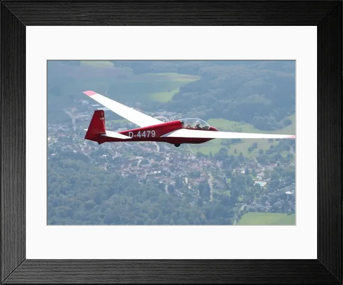 Framed Print : gliding Framed Print : gliding