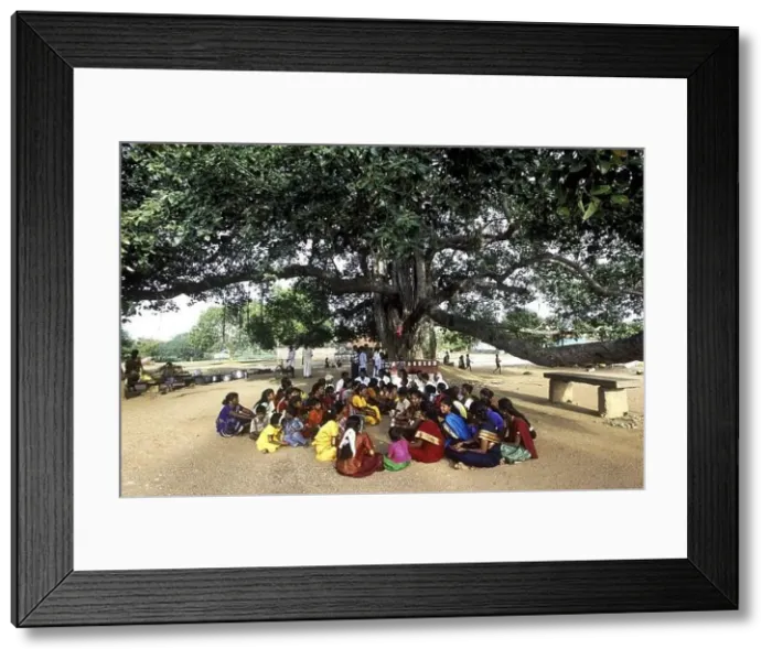 Framed Print : People sitting under Banyan tree, banian tree, ber tree, ficus bengalensis, ficus indica, bat bargad ; India, asia Framed Print : People sitting under Banyan tree, banian tree, ber tree, ficus bengalensis, ficus indica, bat bargad ; India, asia