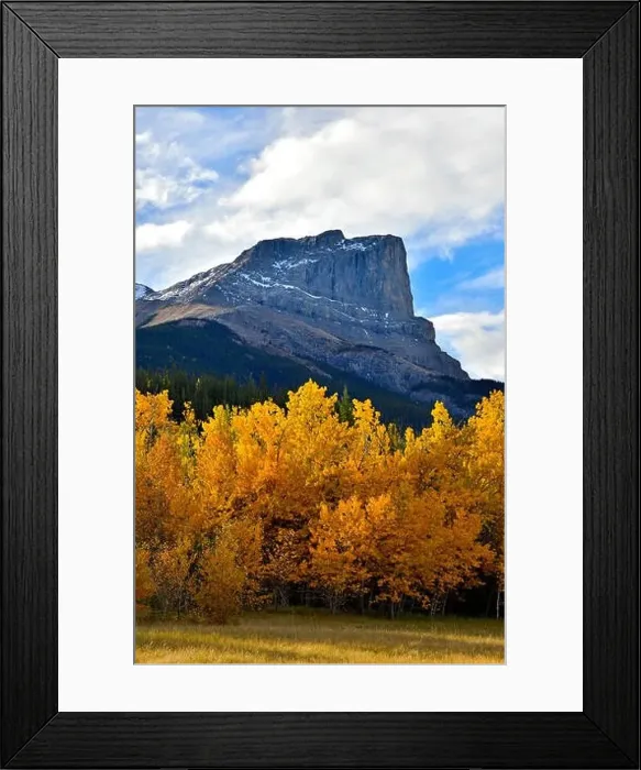 Framed Print : A vertical autumn landscape image of Roche Miette mountain standing tall at the entrance to Jasper National Park Framed Print : A vertical autumn landscape image of Roche Miette mountain standing tall at the entrance to Jasper National Park