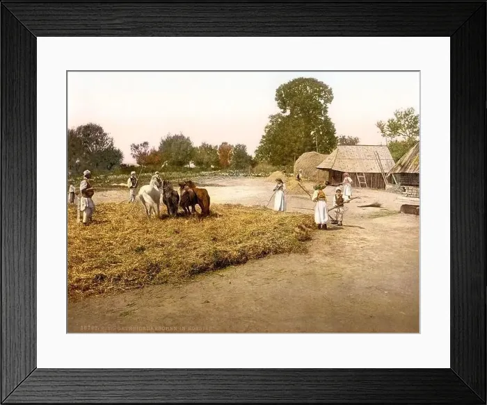 Framed Print : Landwirtschaft, Ackerbau, Dreschen von Getreide