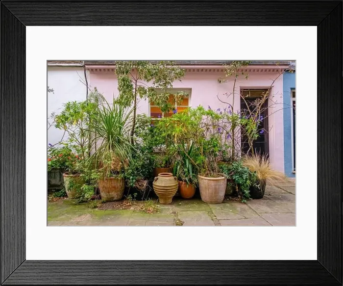 Framed Print : Colourful terraced cottage with display of potted plants, central London, UK Framed Print : Colourful terraced cottage with display of potted plants, central London, UK