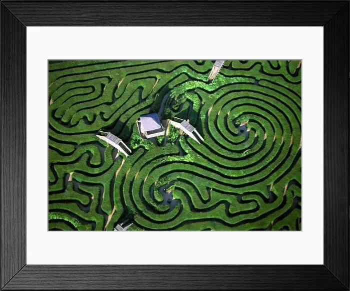 Framed Print : Aerial view of Longleat maze Framed Print : Aerial view of Longleat maze
