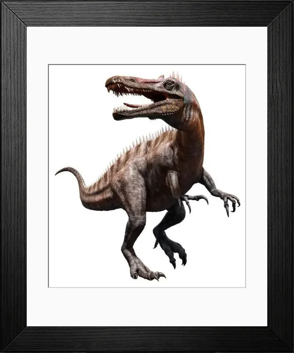 Framed Print : Suchomimus Framed Print : Suchomimus