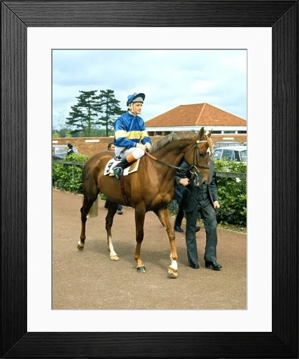 Framed Print : Pat Eddery on Grundy 1970s Framed Print : Pat Eddery on Grundy 1970s