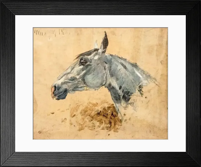 Framed Print : (Albi) Cheval blanc GAZELLE - Toulouse-Lautrec Framed Print : (Albi) Cheval blanc GAZELLE - Toulouse-Lautrec