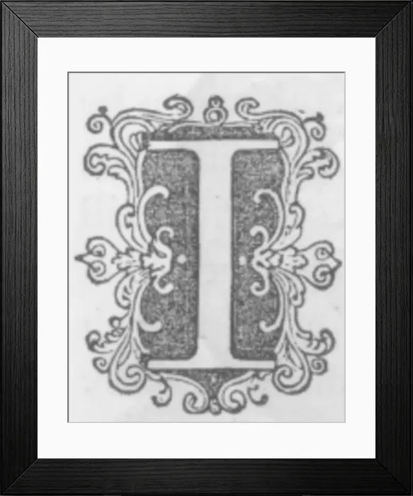 Framed Print : 639 Fancy Letter I Image (2) Framed Print : 639 Fancy Letter I Image (2)