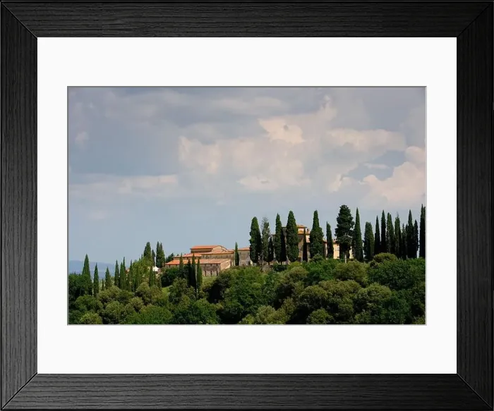 Framed Print : Italy, Tuscany, vineyard Pietrafitta Framed Print : Italy, Tuscany, vineyard Pietrafitta