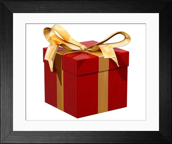 Framed Print : Isolated illustration of a gift wrapped present Framed Print : Isolated illustration of a gift wrapped present