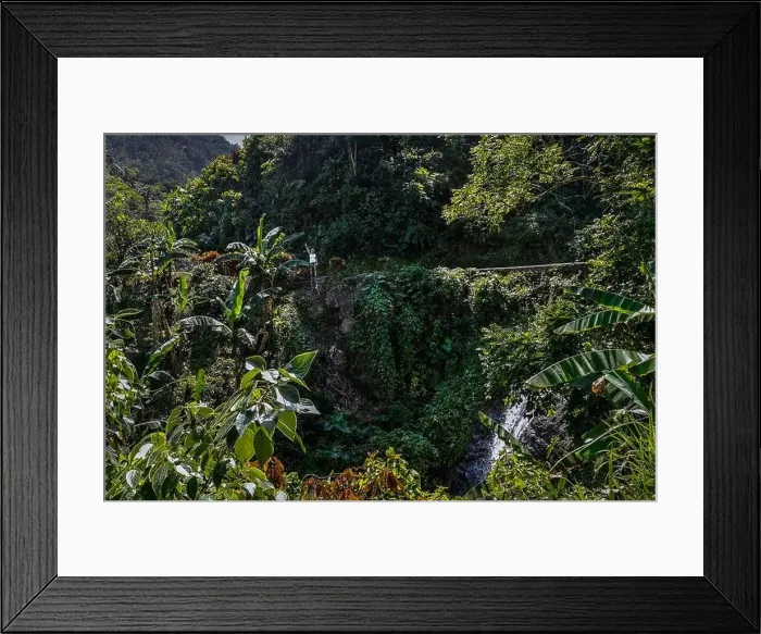Framed Print : Travel arond jamaica, wild nature and local life and landscape Framed Print : Travel arond jamaica, wild nature and local life and landscape