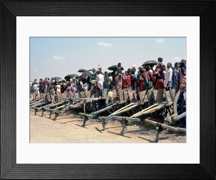 Framed Print : carts serves as a gallery for the keen audience of Jallikattu in Urangampatti, Madurai, Tamil Nadu, India