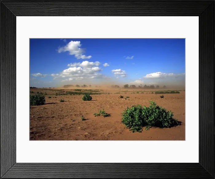 Framed Print : Effects of soil erosion on farmland in Shottisham near Woodbridge Suffolk, UK Framed Print : Effects of soil erosion on farmland in Shottisham near Woodbridge Suffolk, UK