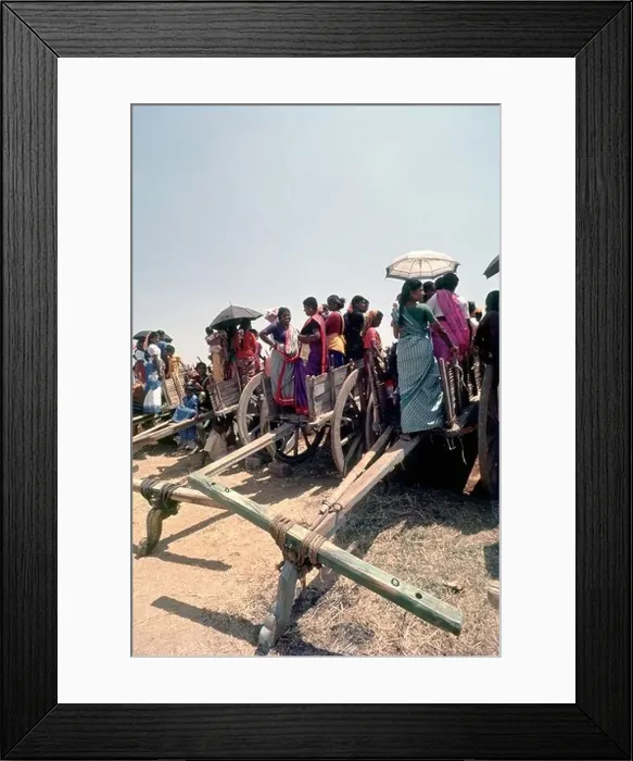 Framed Print : carts serves as a gallery for the keen audience of Jallikattu in Urangampatti, Madurai, Tamil Nadu, India Framed Print : carts serves as a gallery for the keen audience of Jallikattu in Urangampatti, Madurai, Tamil Nadu, India