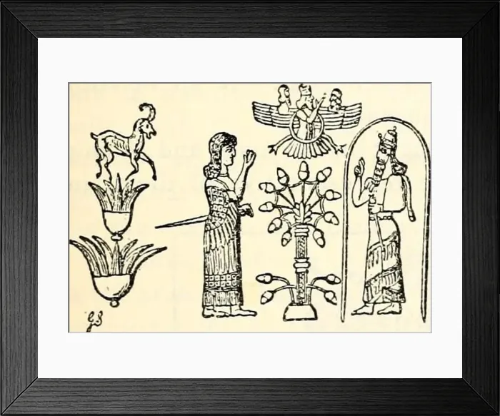 Framed Print : The Open court. he haoma which is yellow Framed Print : The Open court. he haoma which is yellow