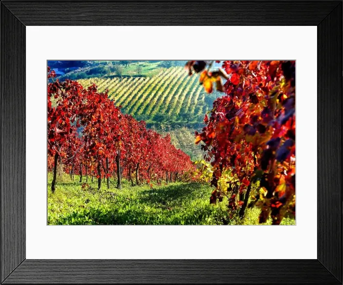 Framed Print : Italy Campania Guardia Sanframondi (Bn) agricultural landscape Framed Print : Italy Campania Guardia Sanframondi (Bn) agricultural landscape