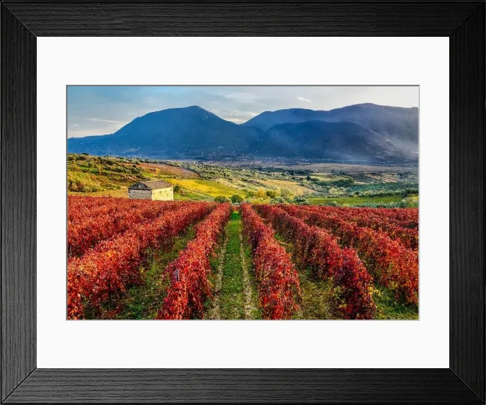 Framed Print : Italy Campania Guardia Sanframondi (Bn) agricultural landscape Framed Print : Italy Campania Guardia Sanframondi (Bn) agricultural landscape