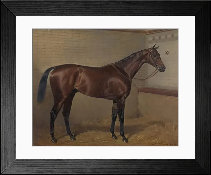Framed Print : Persimmon by Emil Adam Framed Print : Persimmon by Emil Adam