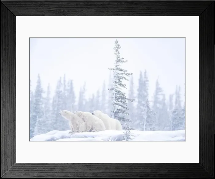 Framed Print : We got each other's back Framed Print : We got each other's back