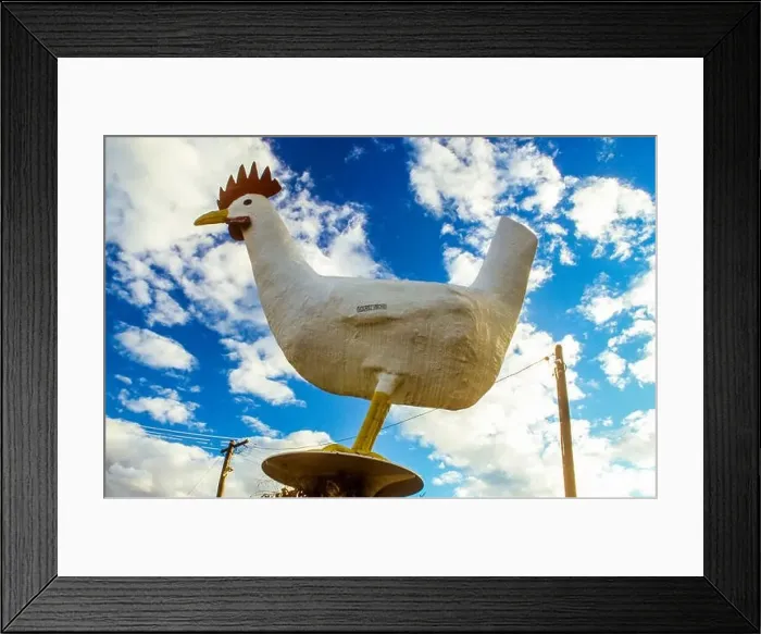 Framed Print : The Big Chook at Moonbi on the New England Highway near Tamworth, NSW, Australia Framed Print : The Big Chook at Moonbi on the New England Highway near Tamworth, NSW, Australia