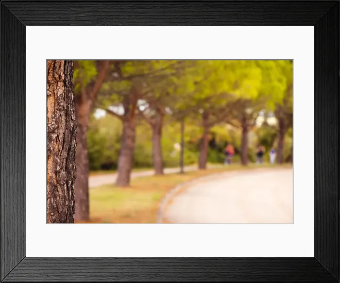 Framed Print : Park tree and defocused blur background, abstract summer and nature backdrop Framed Print : Park tree and defocused blur background, abstract summer and nature backdrop