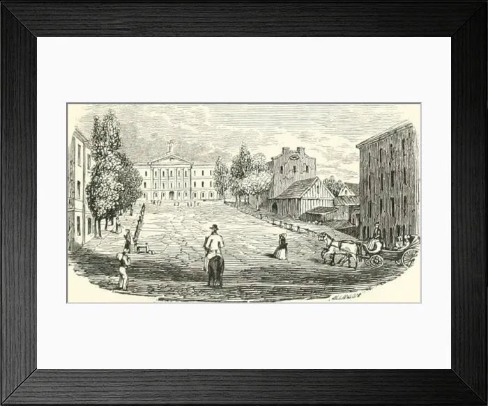 Framed Print : The Maple-leaf, or Canadian annual : a literary souvenir for 1849 Framed Print : The Maple-leaf, or Canadian annual : a literary souvenir for 1849