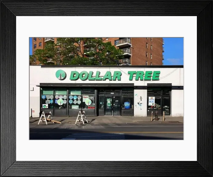 Framed Print : Dollar Tree, 4660 3rd Ave, Bronx, New York, NYC storefront photo of a discount store in the Belmont neighborhood Framed Print : Dollar Tree, 4660 3rd Ave, Bronx, New York, NYC storefront photo of a discount store in the Belmont neighborhood