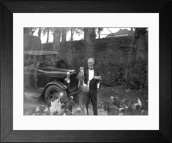 Framed Print : The Royal Artillery (RA) Drag hunt at Green St Green, Kent. Feeding the hounds. - 1934 Framed Print : The Royal Artillery (RA) Drag hunt at Green St Green, Kent. Feeding the hounds. - 1934