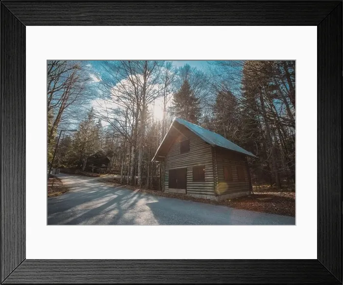 Framed Print : Entrance to Baza 20, army barracks or cottages hiding in the depths of forest at Kocevje or Kocevski rog Framed Print : Entrance to Baza 20, army barracks or cottages hiding in the depths of forest at Kocevje or Kocevski rog